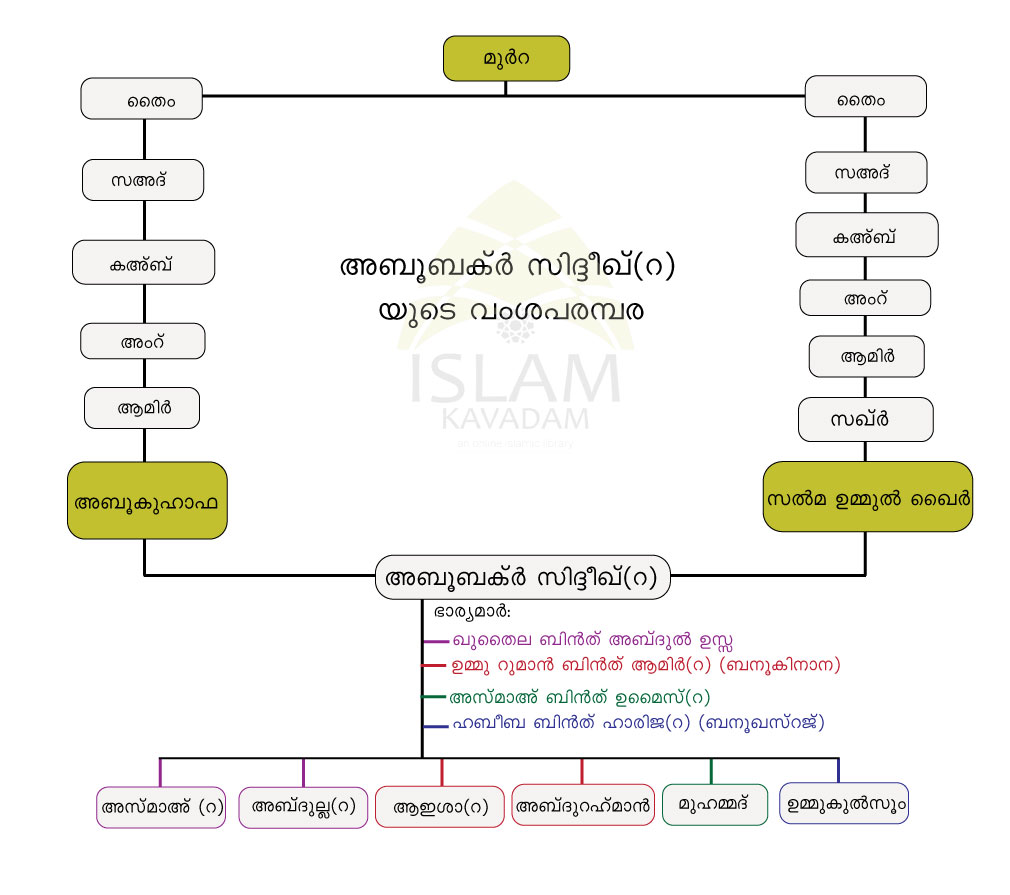 Family Tree of Abubakr