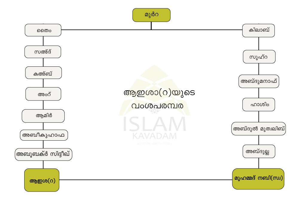 Family Tree of Ayisha