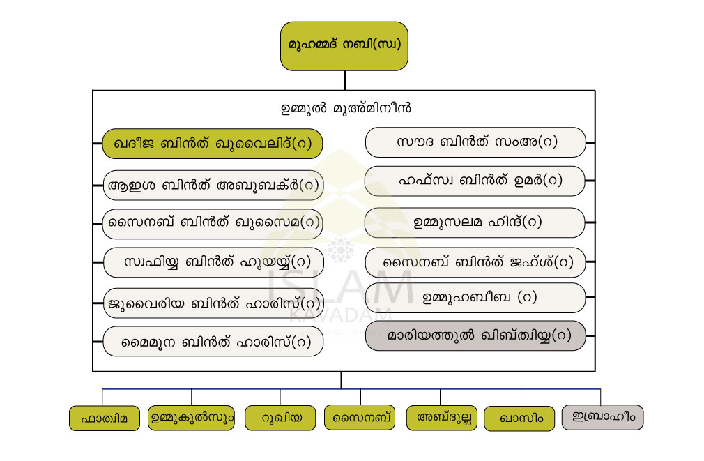 Ummul Muminin