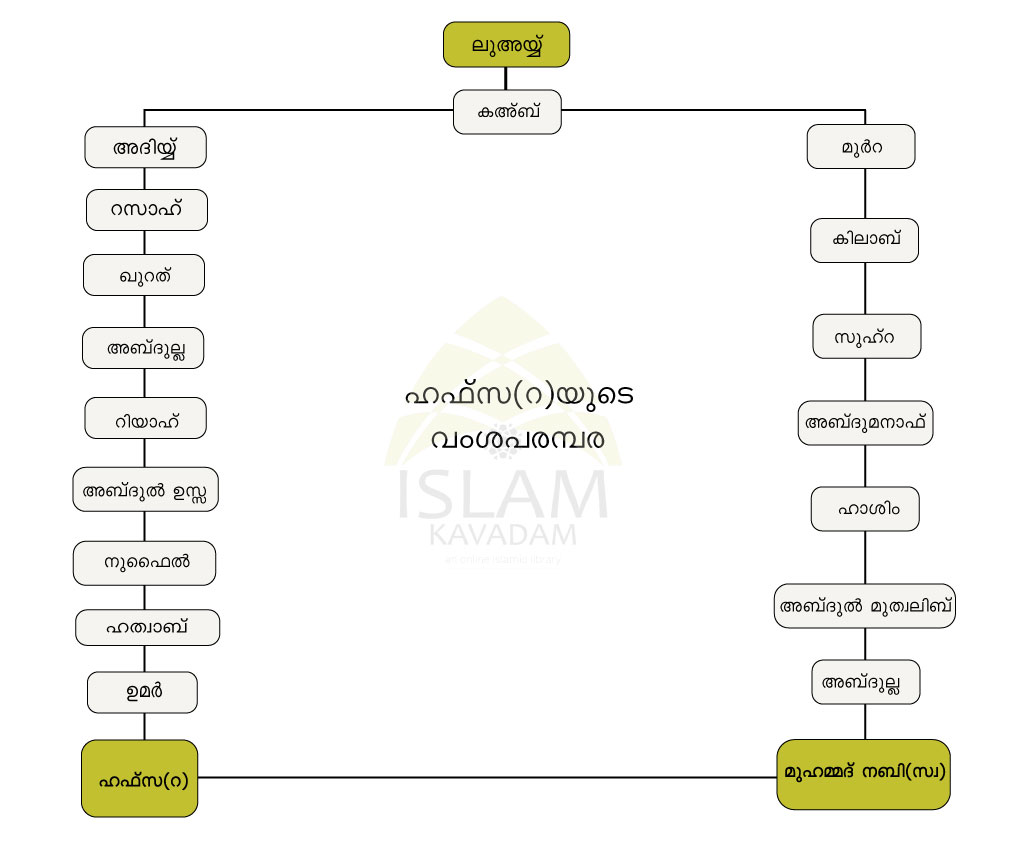 Family Tree of Hafsa