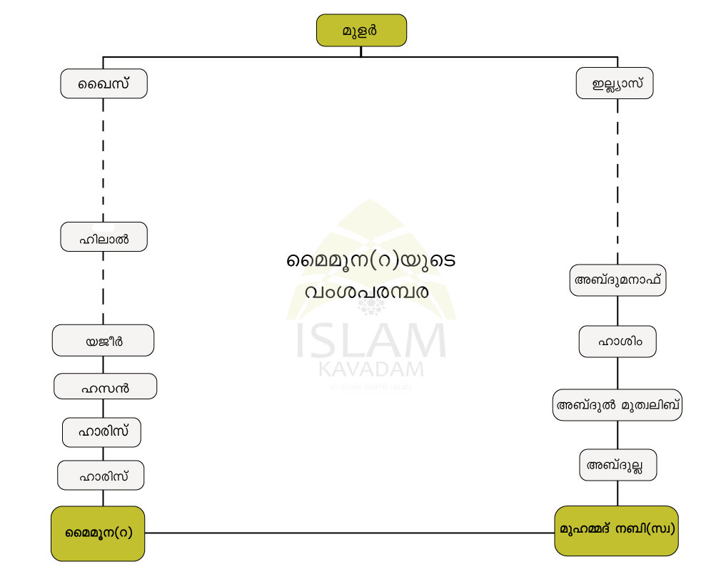 Family Tree of Maimoona