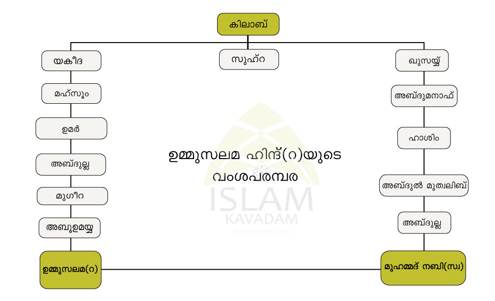 Family Tree of Ummusalama Hind